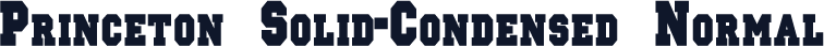 Princeton Solid-Condensed Normal