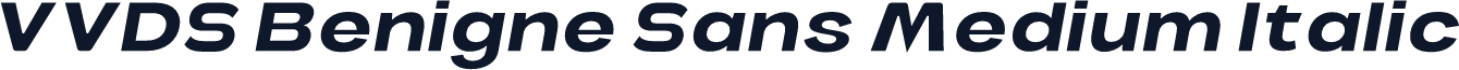 VVDS Benigne Sans Medium Italic