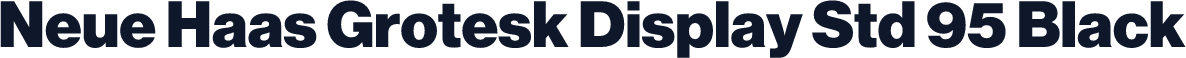 Neue Haas Grotesk Display Std 95 Black