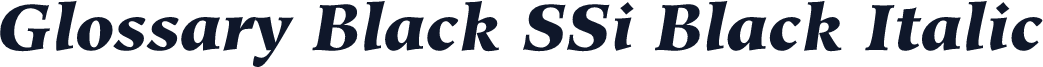 Glossary Black SSi Black Italic
