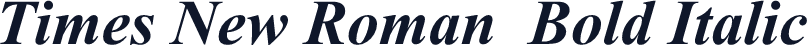 Times New Roman  Bold Italic