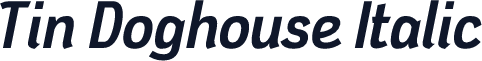 Tin Doghouse Italic
