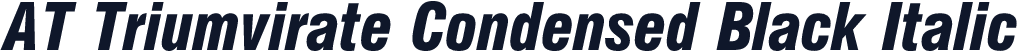 AT Triumvirate Condensed Black Italic