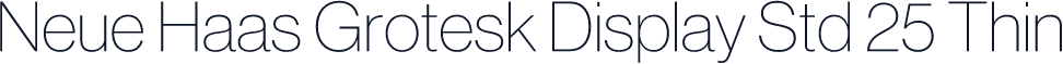 Neue Haas Grotesk Display Std 25 Thin