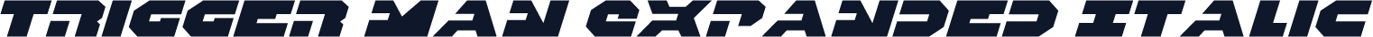 Trigger Man Expanded Italic