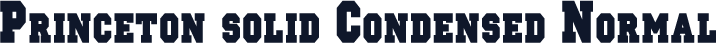 Princeton solid Condensed Normal