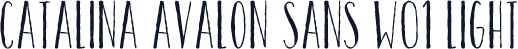 Catalina Avalon Sans W01 Light