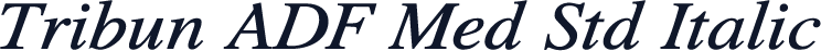 Tribun ADF Med Std Italic