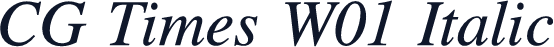 CG Times W01 Italic