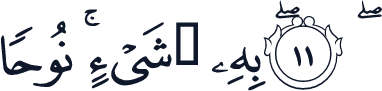 QCF_P484