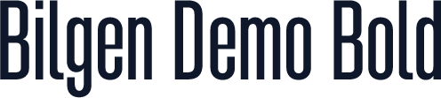 Bilgen Demo Bold