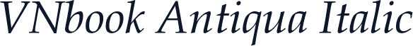 VNbook Antiqua Italic