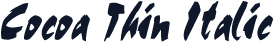 Cocoa Thin Italic