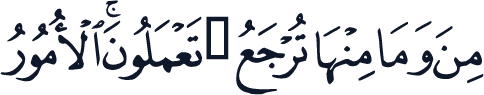 QCF_P538