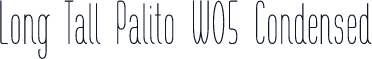 Long Tall Palito W05 Condensed