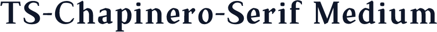 TS-Chapinero-Serif Medium