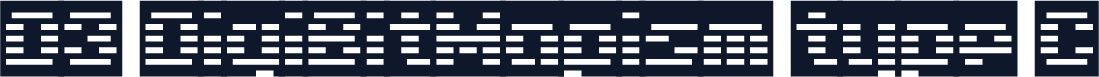 D3 DigiBitMapism type C