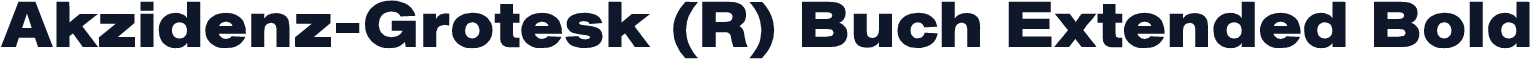 Akzidenz-Grotesk (R) Buch Extended Bold