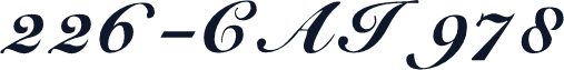 226-CAI978
