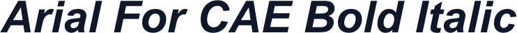 Arial For CAE Bold Italic