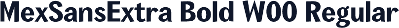 MexSansExtra Bold W00 Regular