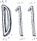 D11