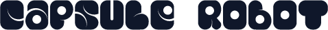 Capsule Robot