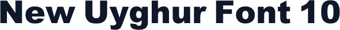 New Uyghur Font 10