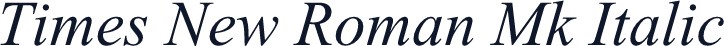 Times New Roman Mk Italic