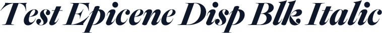 Test Epicene Disp Blk Italic