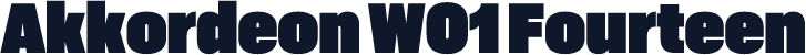Akkordeon W01 Fourteen