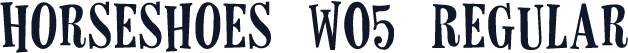 Horseshoes W05 Regular