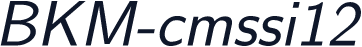 BKM-cmssi12