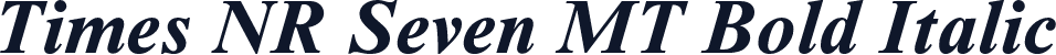 Times NR Seven MT Bold Italic