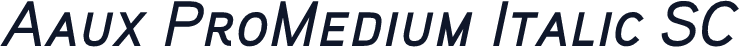Aaux ProMedium Italic SC