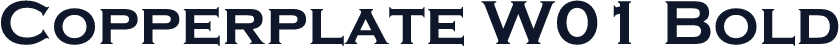 Copperplate W01 Bold
