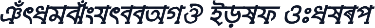 TuragSushreeAMJ Bold Italic