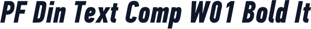 PF Din Text Comp W01 Bold It
