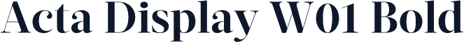 Acta Display W01 Bold