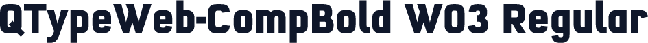 QTypeWeb-CompBold W03 Regular