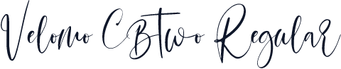 Velomo CBtwo Regular