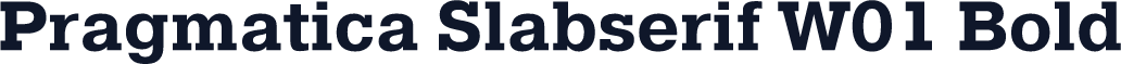 Pragmatica Slabserif W01 Bold