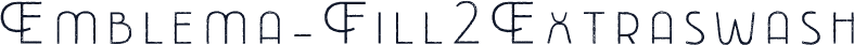 Emblema-Fill2Extraswash