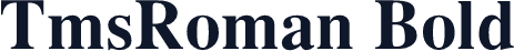 TmsRoman Bold