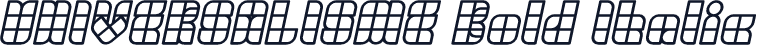 UNIVERSALISME Bold Italic