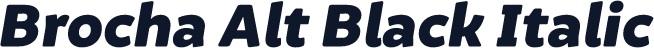 Brocha Alt Black Italic