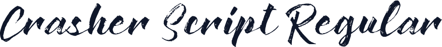 Crasher Script Regular