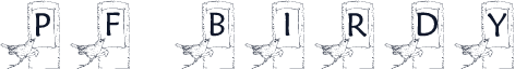 pf_birdy1