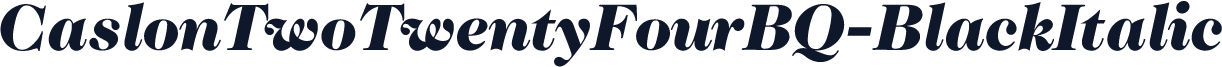CaslonTwoTwentyFourBQ-BlackItalic