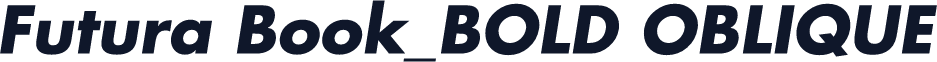 Futura Book_BOLD OBLIQUE